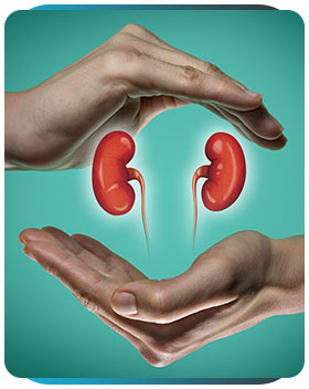 Adrenal Health Specialist Near Me in Scottsdale, AZ