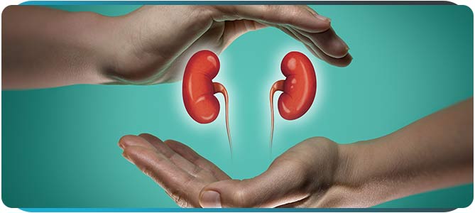 Adrenal Health Specialist Near Me in Scottsdale, AZ Adrenal Health Specialist Near Me in Scottsdale, AZ