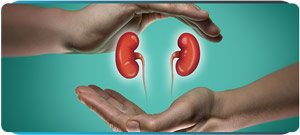Adrenal Health Specialist Near Me in Scottsdale, AZ Adrenal Health Specialist Near Me in Scottsdale, AZ