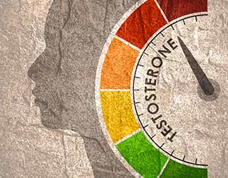 Testosterone Anastrozole Therapy In Men
