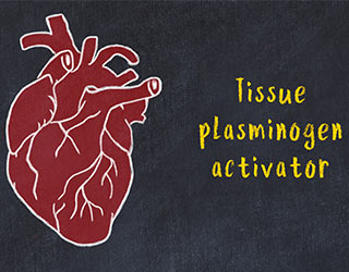 Testosterone does not adversely affect fibrinogen or tissue plasminogen activator (tPA)